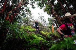 BIB: 
                            <button type="button" onclick="openModal(26203946)" class="btn btn-primary btn-sm float-right btn-popup" data-toggle="modal" data-target=".modal-high-quality">
                        <i class="fas fa-shopping-cart"></i> Add to Cart
                    </button>
                                            <button type="button" onclick="isThisMe(26203946, true)" class="btn btn-success btn-sm float-right btn-popup btn-isme hidden" data-toggle="tooltip" data-placement="bottom" title="นี่คือรูปของคุณใช่ไหม คลิกที่นี่เพื่อเอาเข้าอัลบั้ม">
                        <i class="fas fa-plus"></i> Add to album
                    </button>
                    <button type="button" onclick="isThisMe(26203946, false)" class="btn btn-warning btn-sm float-right btn-popup btn-isnotme hidden">
                        <i class="fas fa-ban"></i> Remove from album
                    </button>